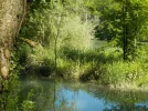 DSCN0788.webp