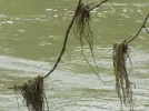 DSCN0620.webp
