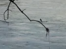 DSCN0841.webp