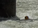 DSCN0902 (2).webp