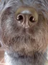 22032013271.webp