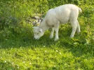DSCN0937.webp
