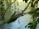DSCN0848.webp