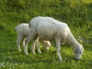 DSCN0928.webp