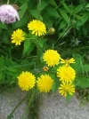 022.webp