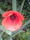 023.webp