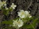 DSCN0958.webp