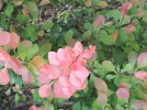 20160516_122735_resize.webp