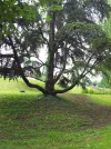 20160516_123105.webp