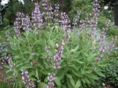 PICT0002.webp
