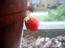 DSCF8384.webp