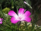 DSCF8381.webp