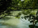 DSCN0770.webp