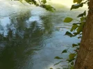 DSCN0767 (2).webp