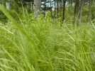 DSCN0359.webp