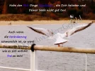 Frei1-W.webp