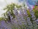 DSCN1008.webp