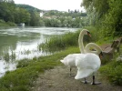 DSCN1048 (2).webp
