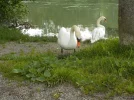 DSCN1051 (2).webp