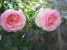 DSCN1645.webp