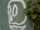 DSCN1021.webp