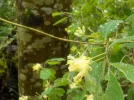DSCN0551 (2).webp