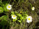 DSCN1072.webp