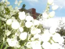 DSCN1086.webp