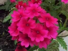 20160603_115645.webp