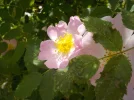 DSCN1143.webp