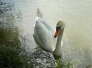 Sinnbild