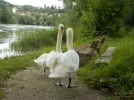 DSCN1049 (2).webp