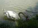 DSCN0880.webp