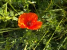 DSCN1153.webp