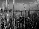 DSCN1117.webp