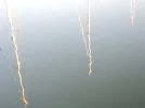 DSCN1485.webp
