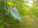 DSCN1191.webp