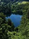 image.webp