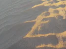 DSCN0231.webp