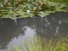 DSCN1238.webp