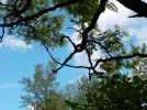 DSCN1263.webp