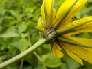 DSCN1270.webp