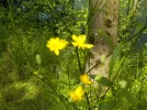 DSCN1264.webp