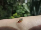 DSCN1774.webp