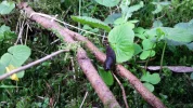 20160610_182938.webp