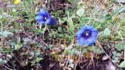 20160610_191145.webp