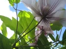 DSCN1791.webp