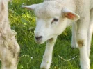 DSCN0939.webp