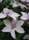 DSCN1821.webp