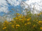 DSCN1302.webp